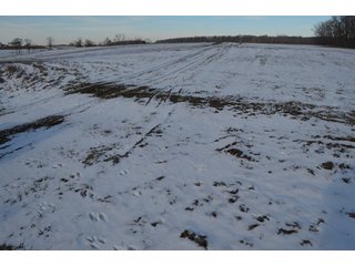 54.7 Acres with 50 tillable and 4.3 wooded.  Surrounded by heavy deer population on CRP land.  Great trophy deer hunting on established food plots.  Hunting tower.

Receive income on tillable acres while abundance of deer hunting on established food plot. - Great Investment Opportunity - Tillable Land, Recreation & Building Site